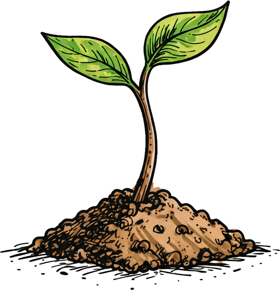 Sprout illustration